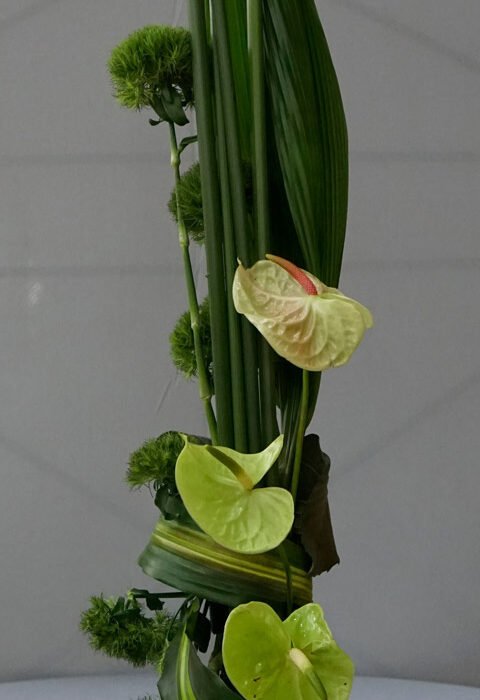 337741105_1311457909717243_4445972752495680268_n