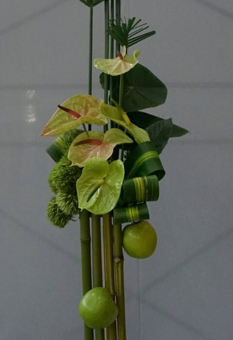 337750858_1337493496807491_5499791226939765545_n