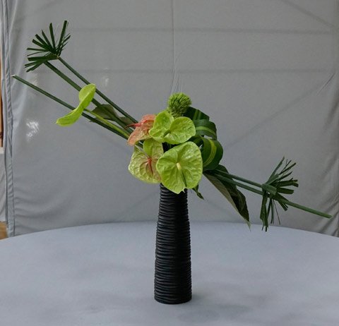 337873835_612905766935160_1296592901491494768_n