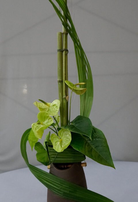 337875525_931575454731919_7610400964620970125_n