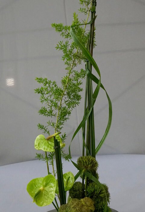 337875784_1267485110565489_1982183281786714176_n