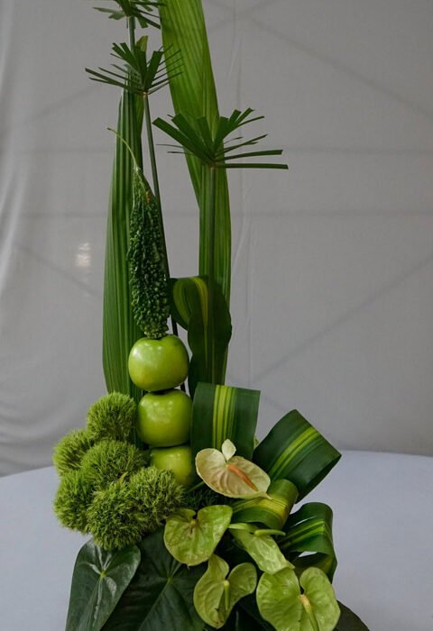 337883488_6012638105523807_1308223045682610085_n