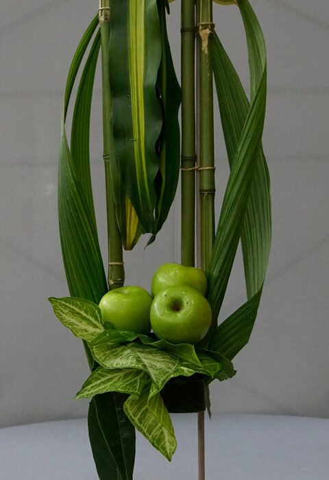 337896126_173412332222024_8251828231551453293_n