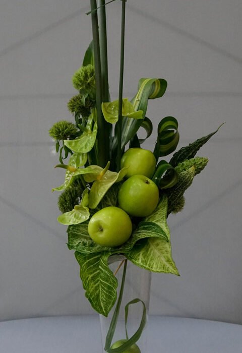 337898496_146395734761358_1696505647686222971_n