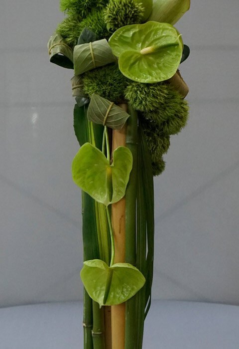 337899465_550135387227484_92775772777722792_n