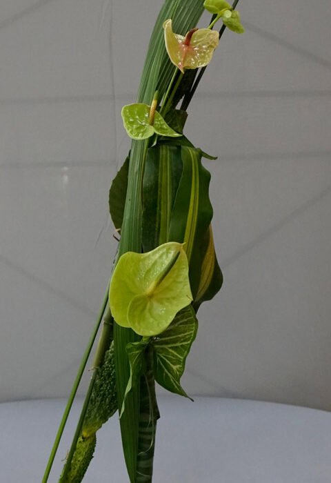 337986479_759874105688055_6298348206017800264_n