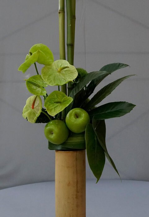 338021763_481627727399230_5866561056812317047_n