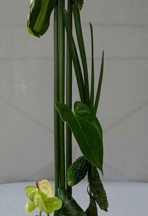 338023832_804067651145019_7231149572165527802_n